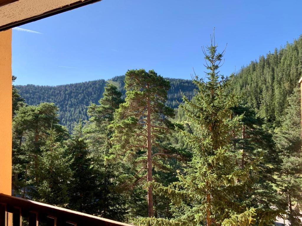 Appartement 3 Pieces Au Pied Des Pistes De La Colmiane 瓦尔代布洛尔 外观 照片